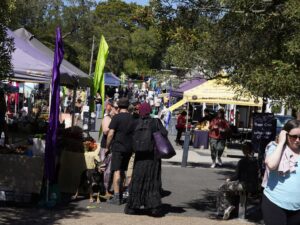 Colour photo of Upwey market. A landscape shot looking down a row of market stalls. People looking at the stalls, chatting, eating and walking. Sunny day. Trees surrounding the market.