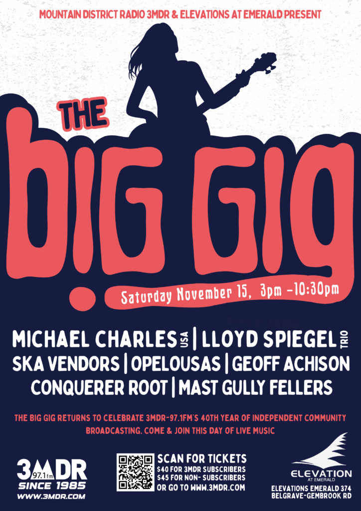 Big Gig Poster showing a guitarist with long hair playing as a navy coloured silhouette with BIG GIG written in bright red underneath and the gig details in white on navy.