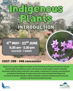 INDIGENOUS PLANTS poster. Background is a photo of a garden with a path. Text and blocks of colour layered over the top. Additional circular photo of a flower.